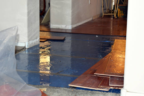 Professional Burst Pipe Cleanup technician working in Marine, IL